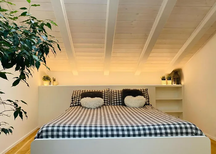 The Nest Between The Walls *
