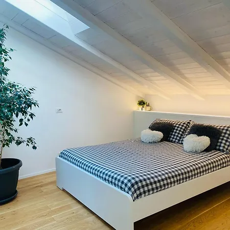 The Nest Between The Walls Lägenhet