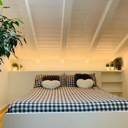 The Nest Between The Walls *