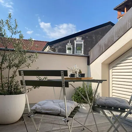 The Nest Between The Walls *